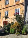 Apartament la casa in cetatea Sighisoarei