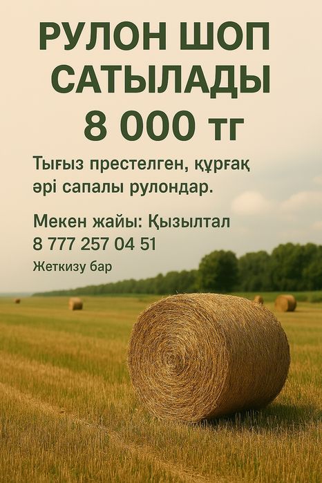 Рулон шөп житняк аралас