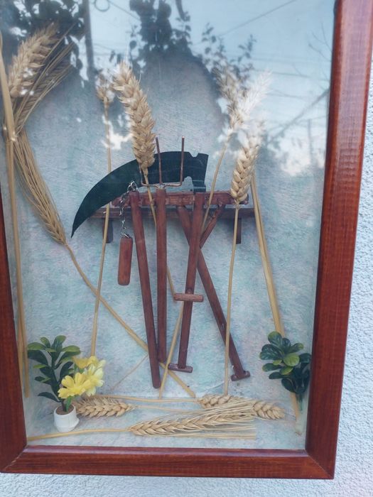 Accesoriu decorațiune display vintage colectie lemn sticla Franța 1950