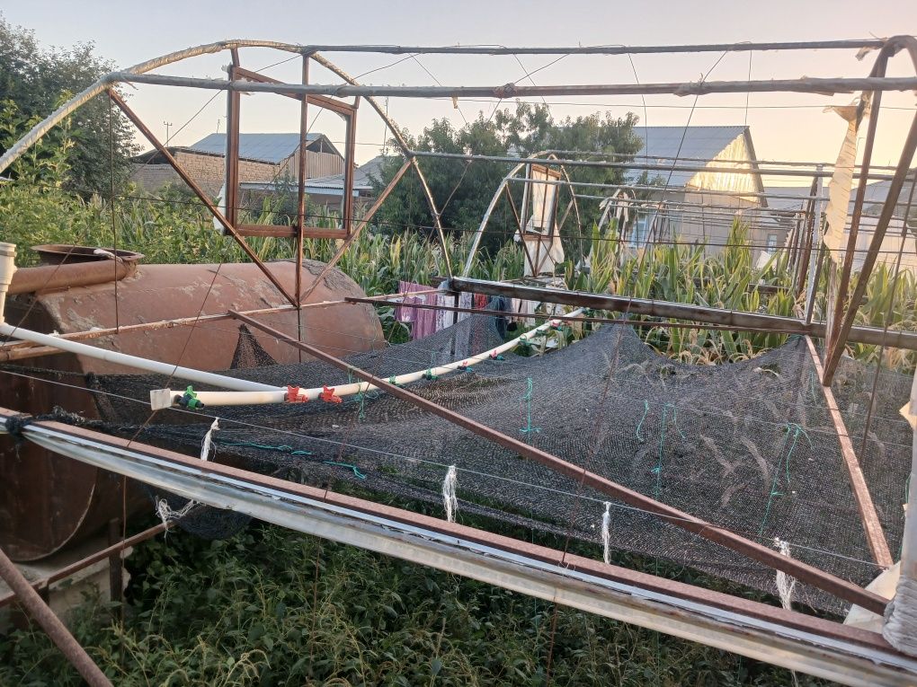 Tiplitsa 6 sotix