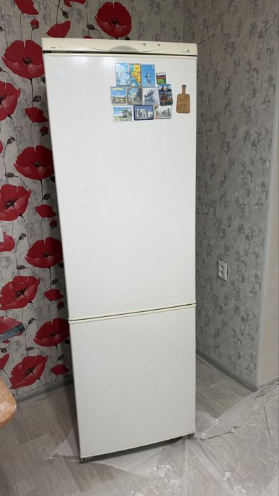 холодильник Snaige