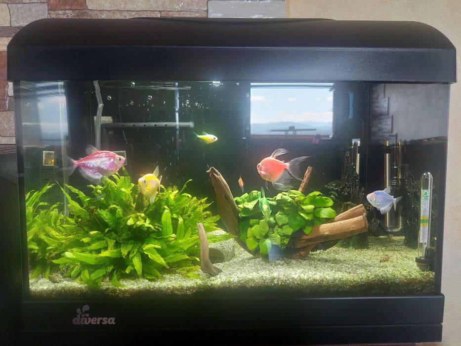 Продавам аквариум 20 л