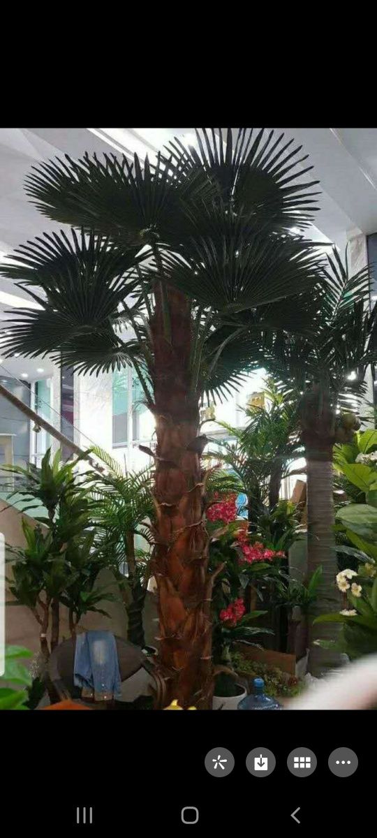 Искусственная пальма 4,3 размер китай  60кг широкий ассортимент