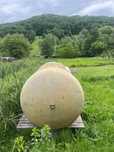 Vand bazin fibra de sticla 2500 L
