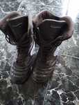 Kangaroos Sport 42