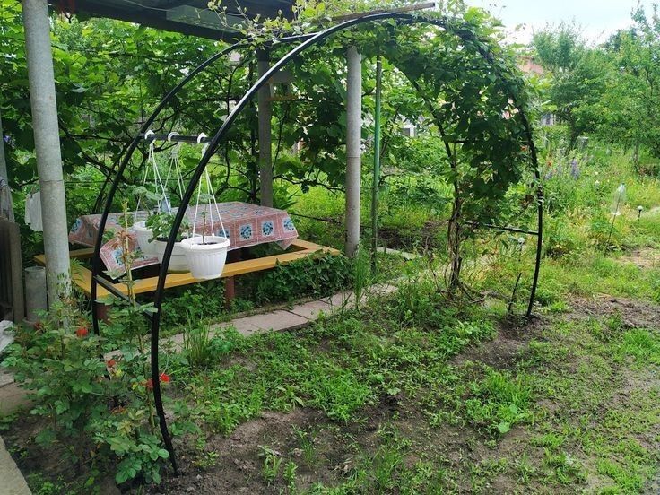 Арка садовая, декоративная арка железная для сада