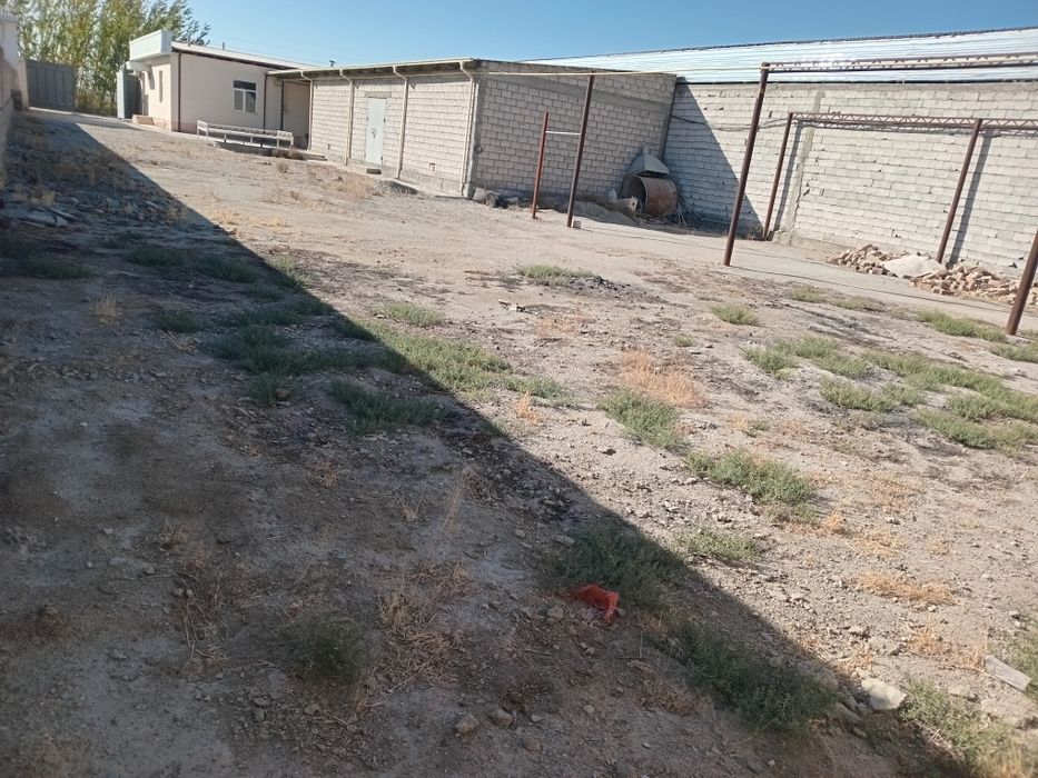 Bino sotiladi 16 sotix trassa chetida