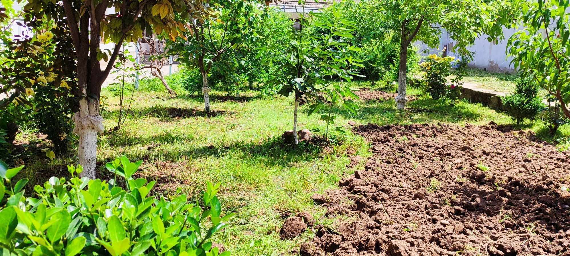 Продам землю в дол дороги ул Хонабод