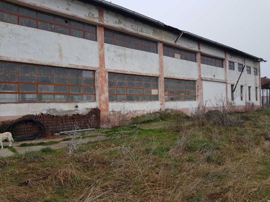 vand hala Berzovia, jud Caras Severin