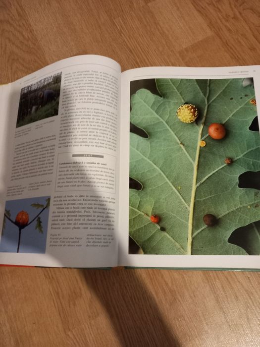 Carte ..carte...carte