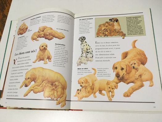 2 детски книжки на френски и английски език Les Chiens кучета