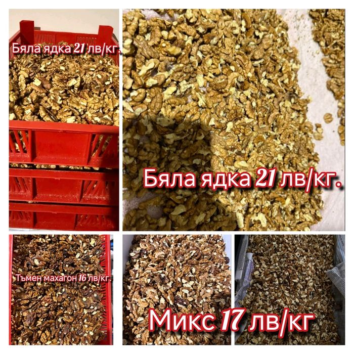 Орехови ядки България