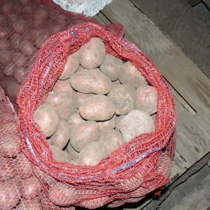 Картофель продам