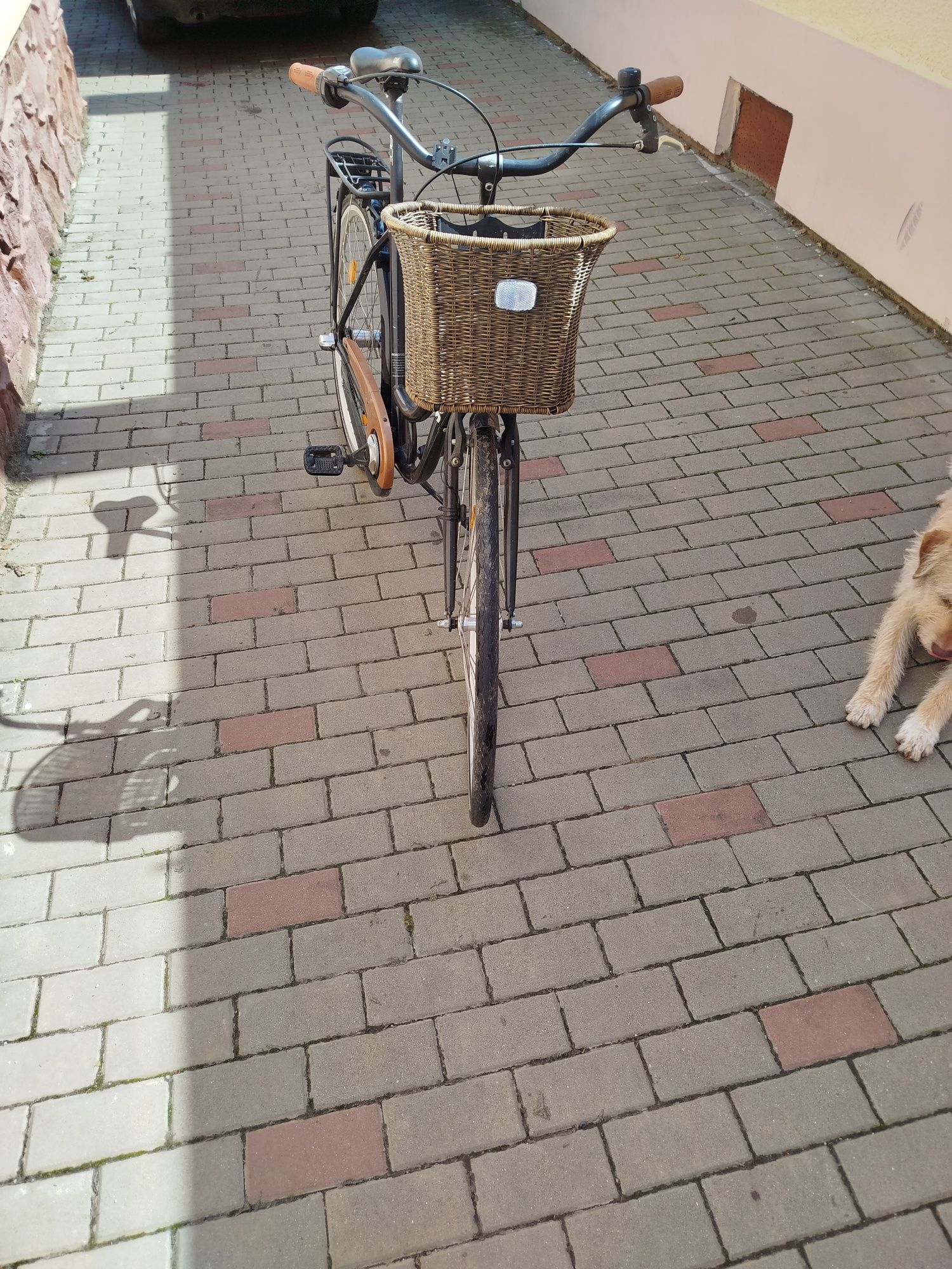 Biciclete de vânzare