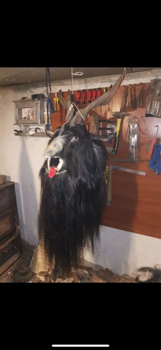 Кукерски маски и рога