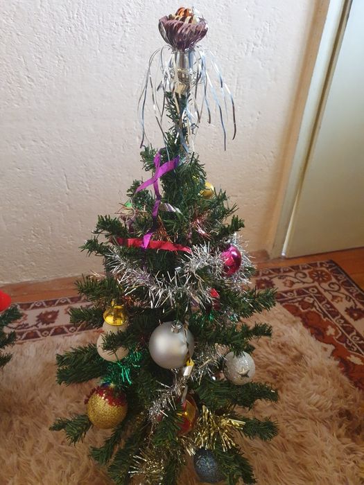 Коледна елха по 30 лв