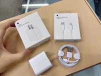 Apple power adaptor si lightning cable