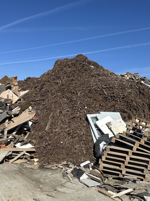 Lemn uscat pentru foc