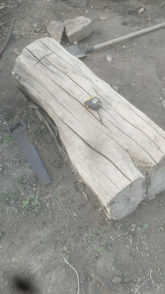 Отдам большие пни деревьев , самовывоз