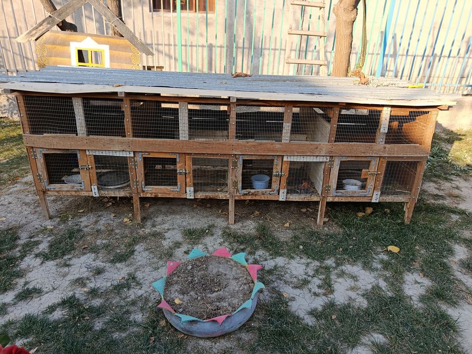 Srochna Quyonxona Sotiladi