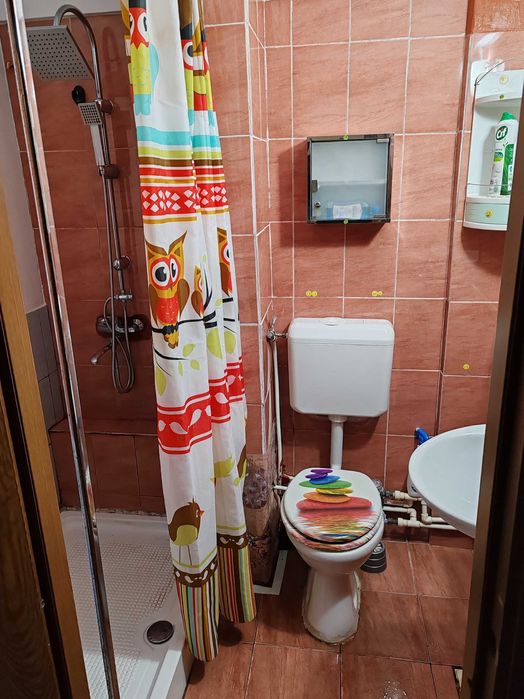 apartament cu 1 camera, confort sporit  si gradina ,tatarasi central