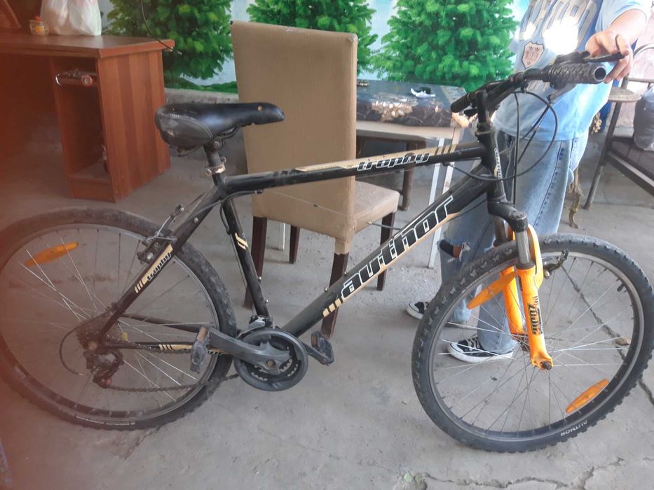 Велик author trophy