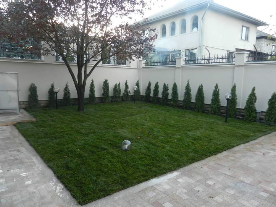 Gazon rulou și plante ornamente