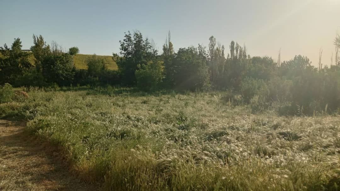 Участка сотилади, 12 сотих