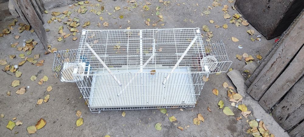 Продам клетки в хорошем состоянии