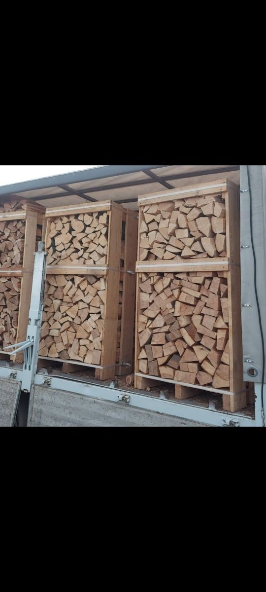 Lemn de foc  fag paleti
