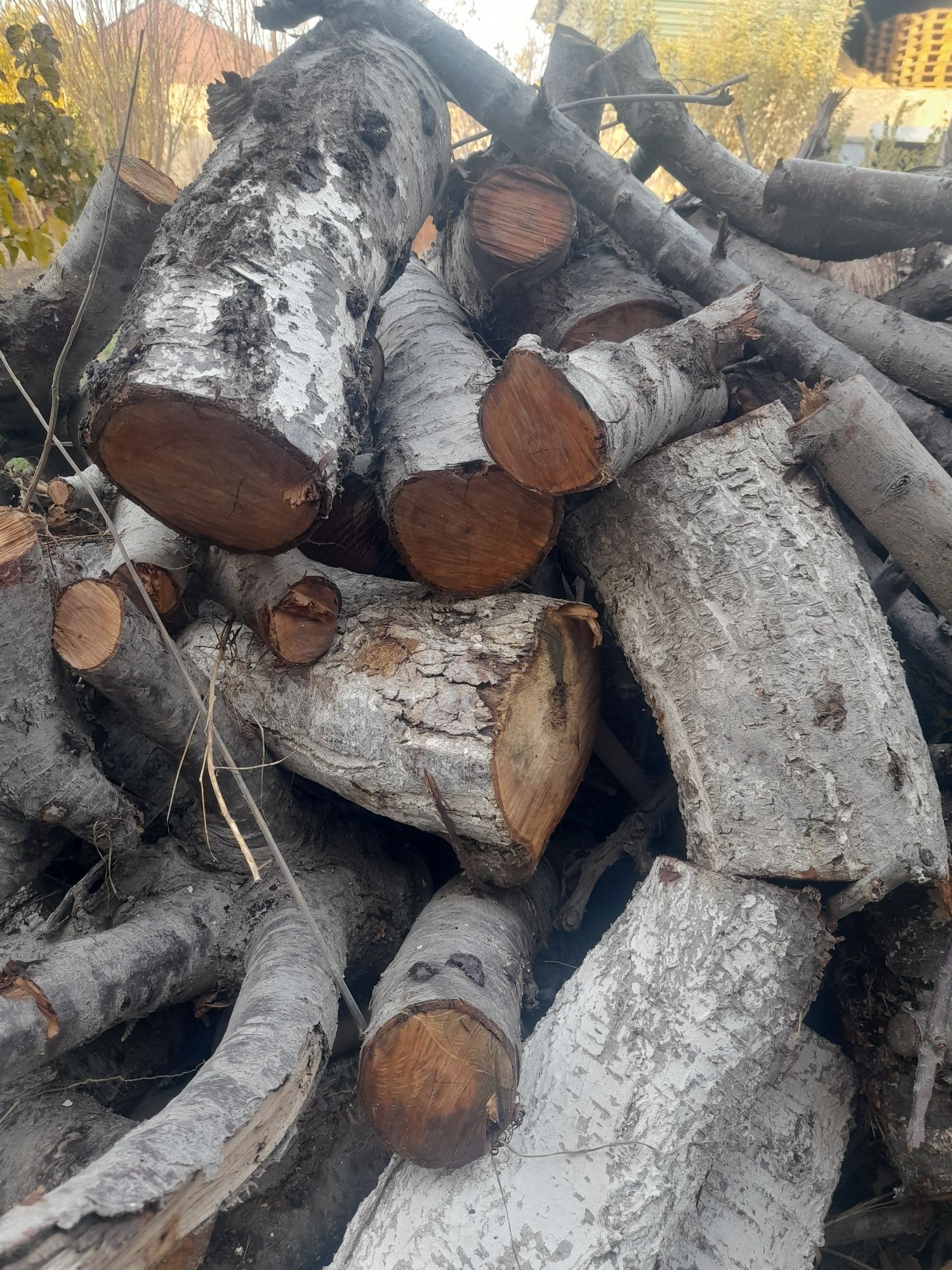 O'tin sotiladi. Mevali daraxt o'tini Buxoro viloyatida