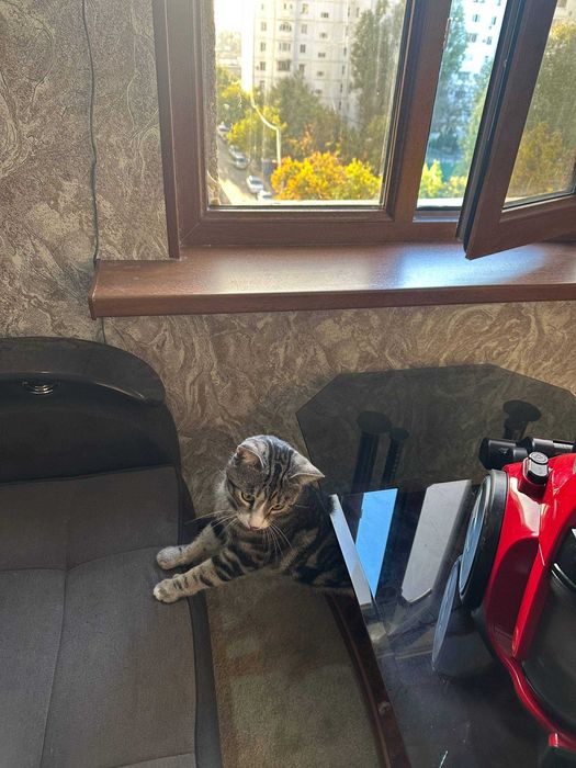 Пылесос ишлаши яхши bosch