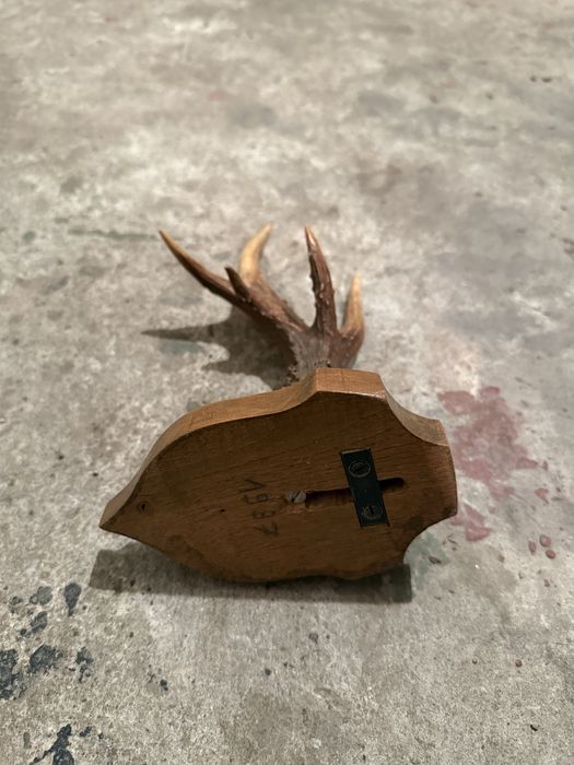 Продавам рог от сръндак