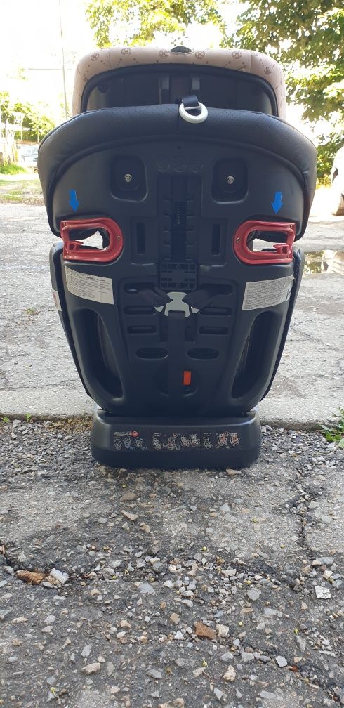 Детско столче 4 in 1 Chipolino