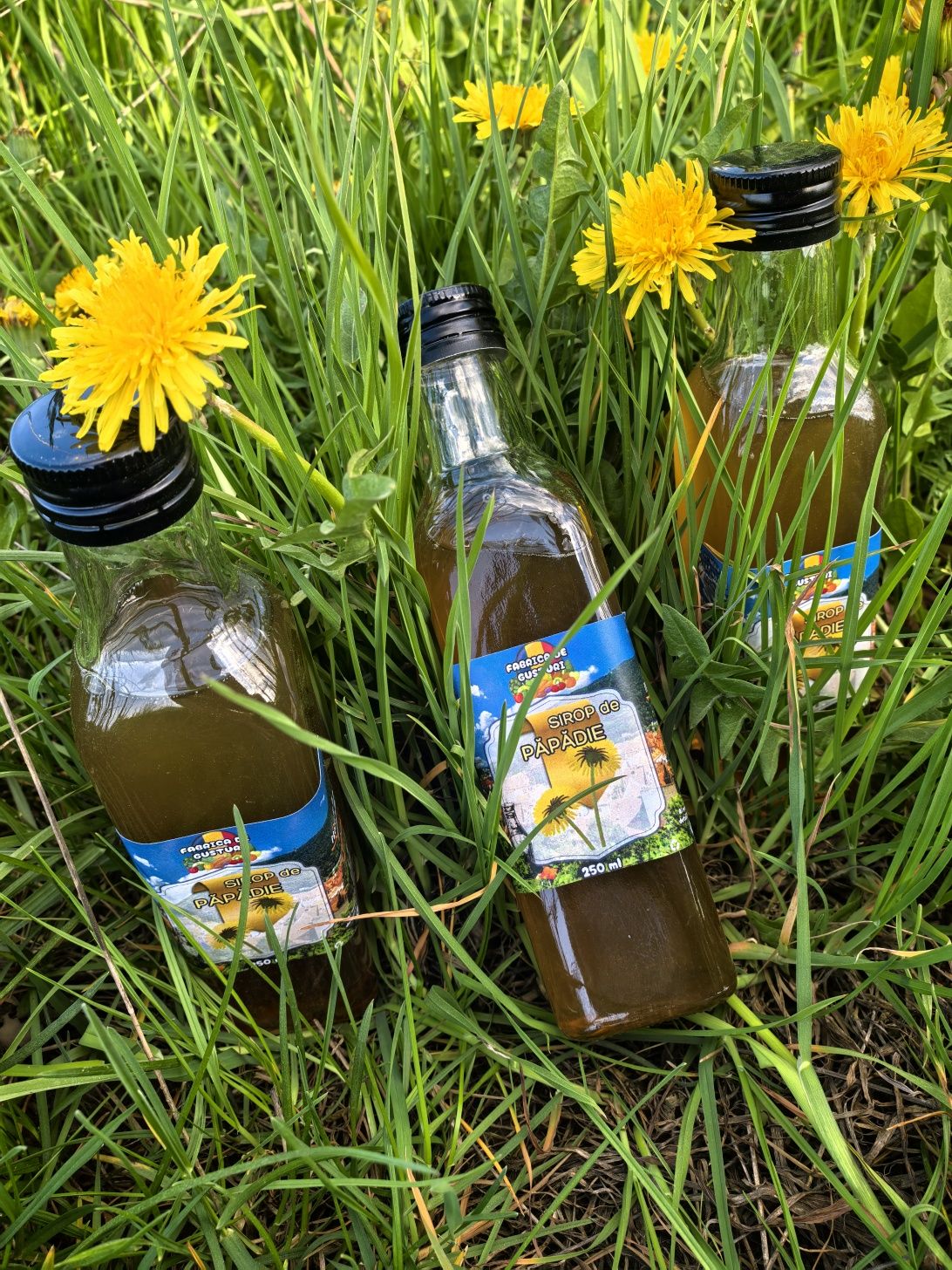 Sirop de păpădie - producție 100% naturală