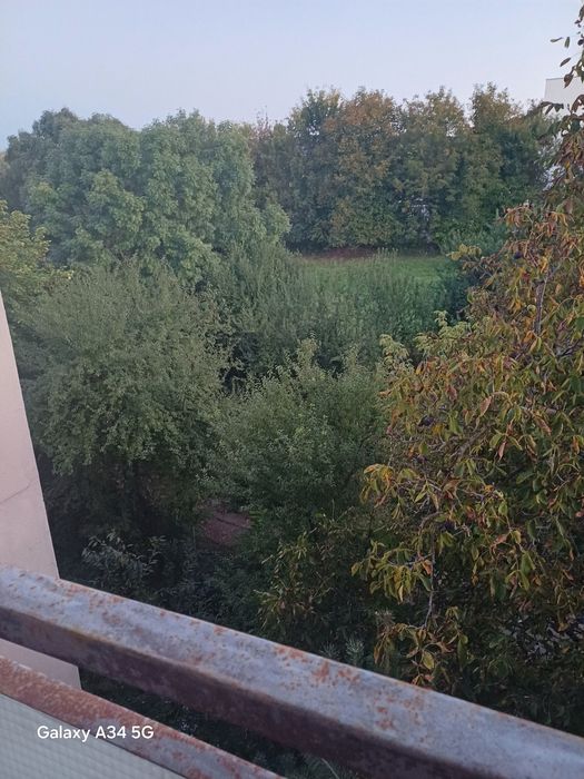 Vand apartament cu 4 camere in Cartierul Manastur