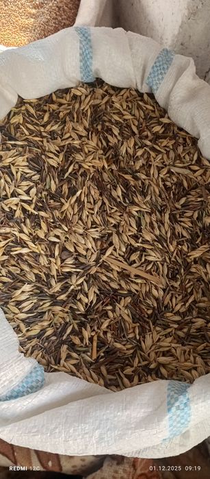 Бугдой ярма ва бугдой ем ку́й, товук, моллар учун ем.