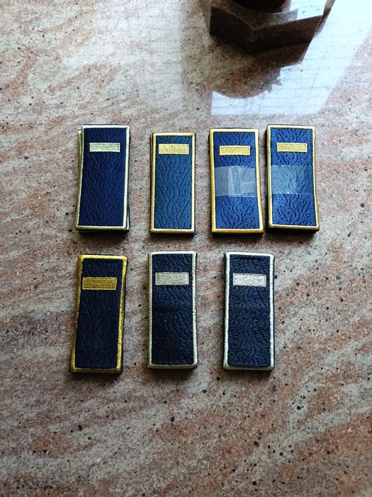 Grade agent, Poliția penitenciara