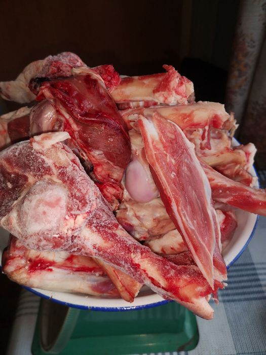 Свежий..корм.для.вашего.питомца