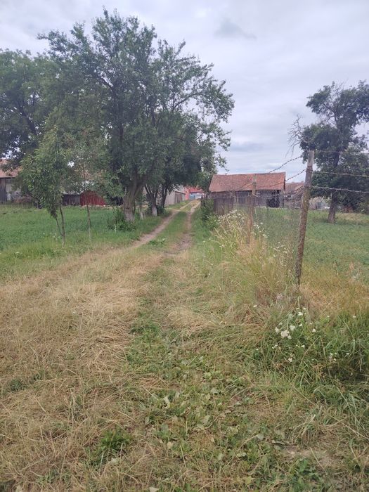 Teren intravilan de vanzare