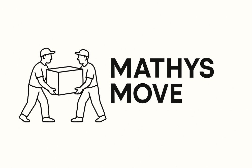 Transport in provincie  mobila bagaje servicii mutari replicare