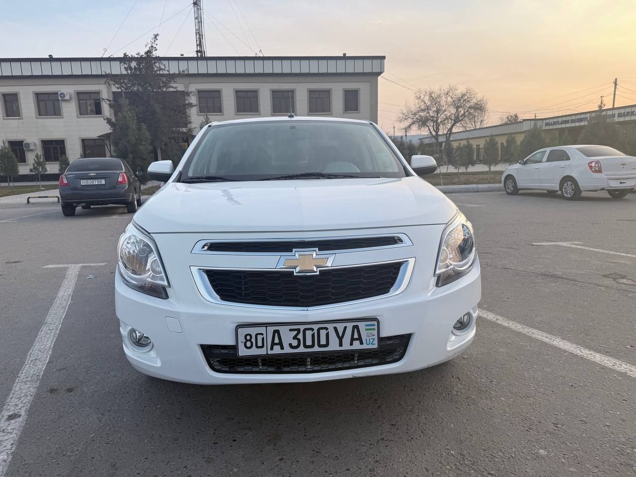 Кобалт срочний сотилади