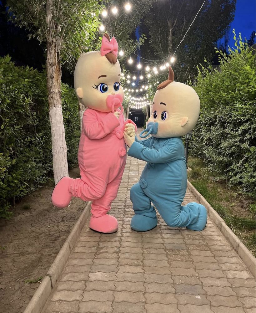 костюм аниматоров