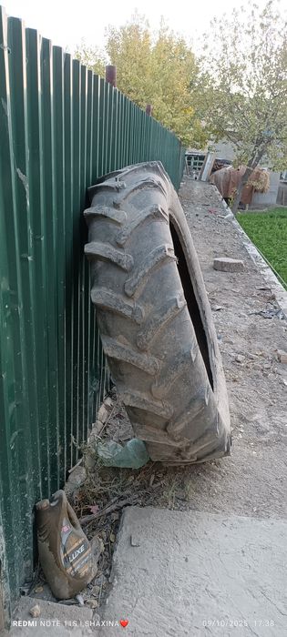 Шина балон ТТЗ Тракторники