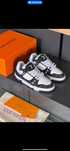 louis vuitton trainer