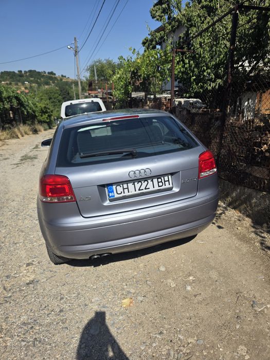 Audi A3 8p 2.0 TDI
