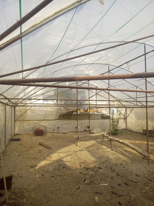 Таййор теплица сотилади Бир ярим сотихга тахланган
