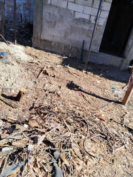 Giulesti Lacul Morii