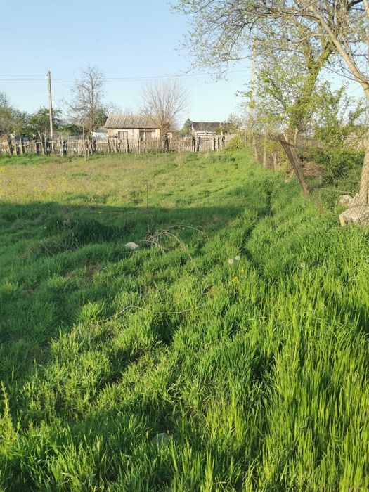 Teren intravilan în Topalu