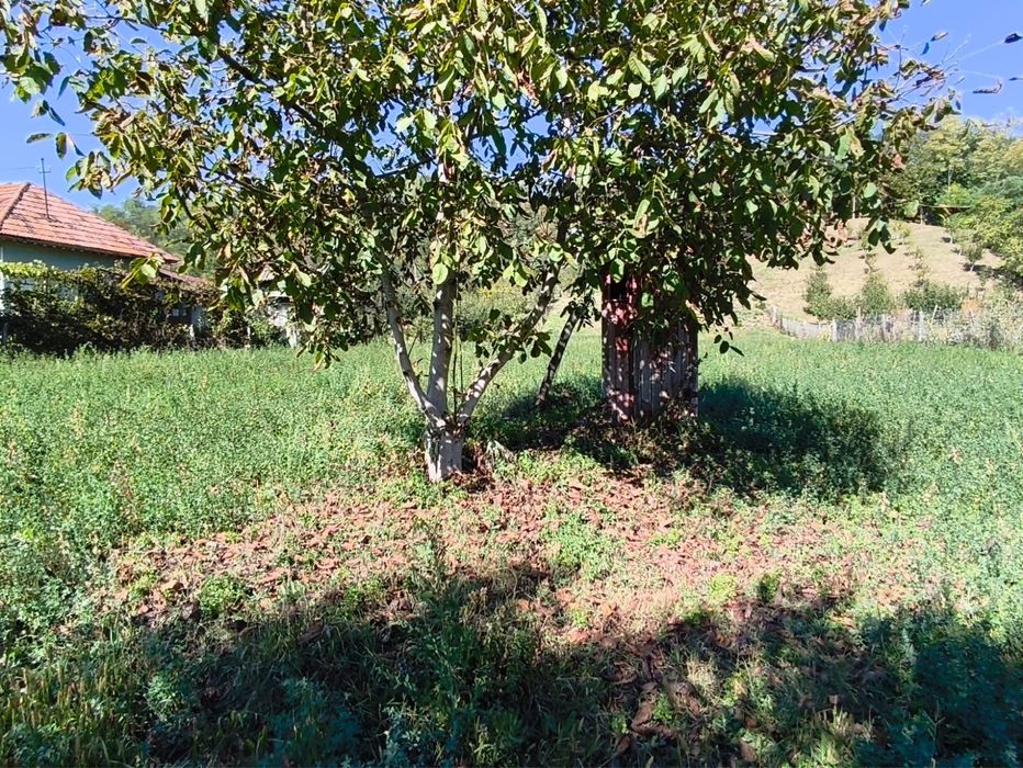 Vând teren intravilan în Valea Lungă Gorgota - Dâmbovița
